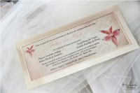 /album/humberto-ortega/a35-jpg/