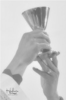 /album/humberto-ortega/a59-jpg/